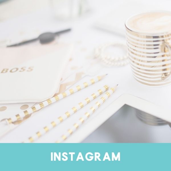 Instagram Virtual Assistant Category Image